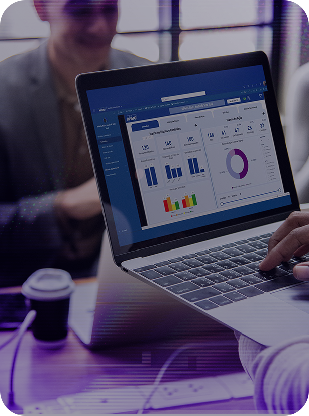 Risk, Audit & SOx Tool